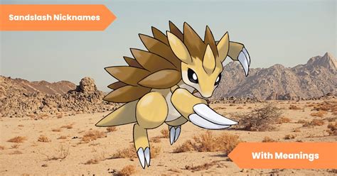 sandslash evolution|sandslash nicknames.